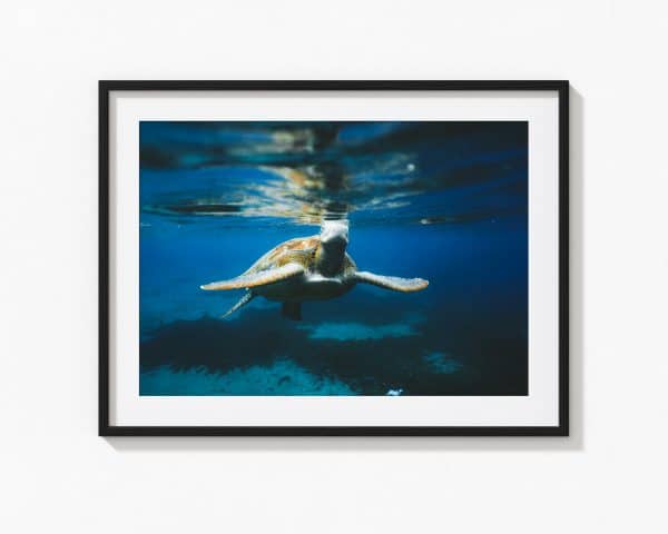 Underwater – Image 2