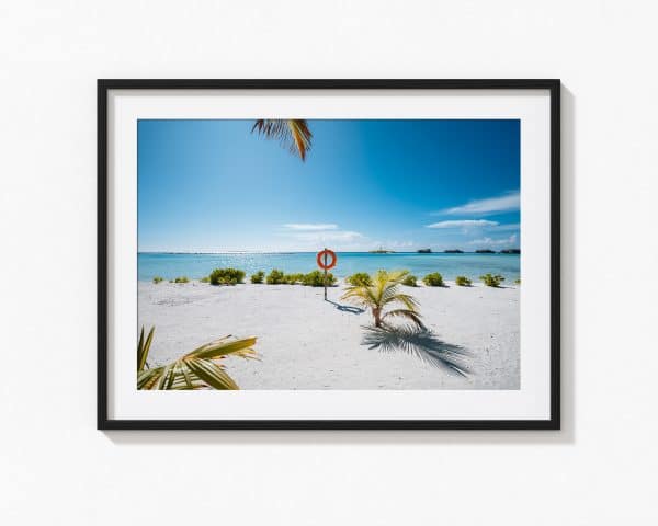 S.O.S – Image 2