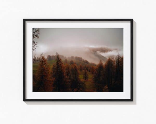 Mist – Image 2