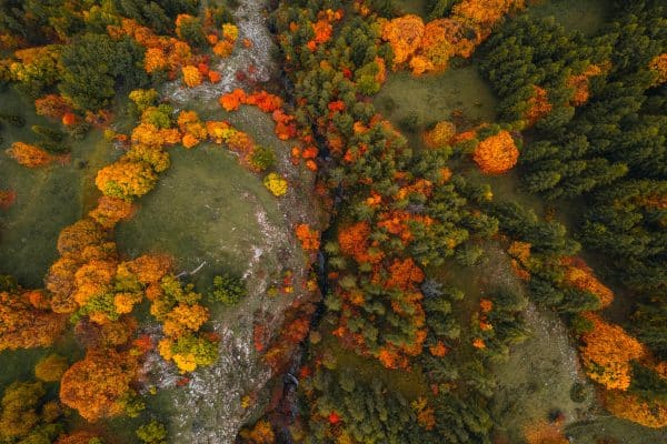 River – Image 3