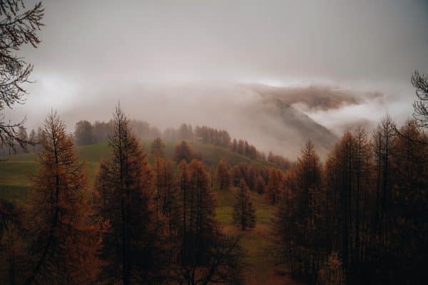 Mist – Image 3