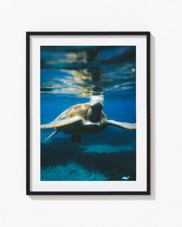 Underwater