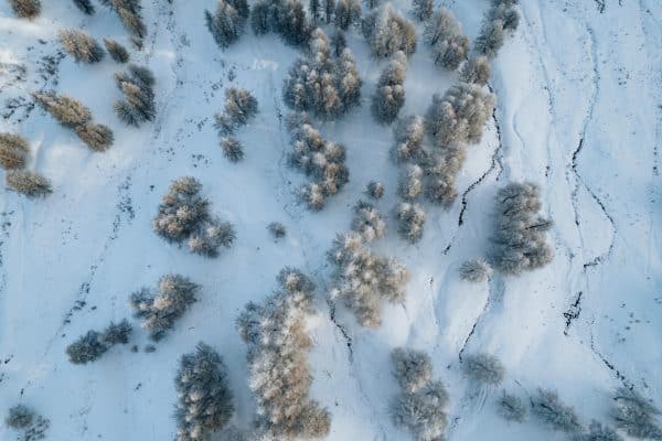 Ice – Image 3