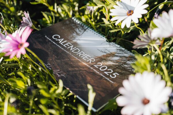 CALENDRIER 2025 – Image 2