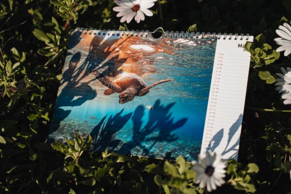 CALENDRIER 2025 – Image 4